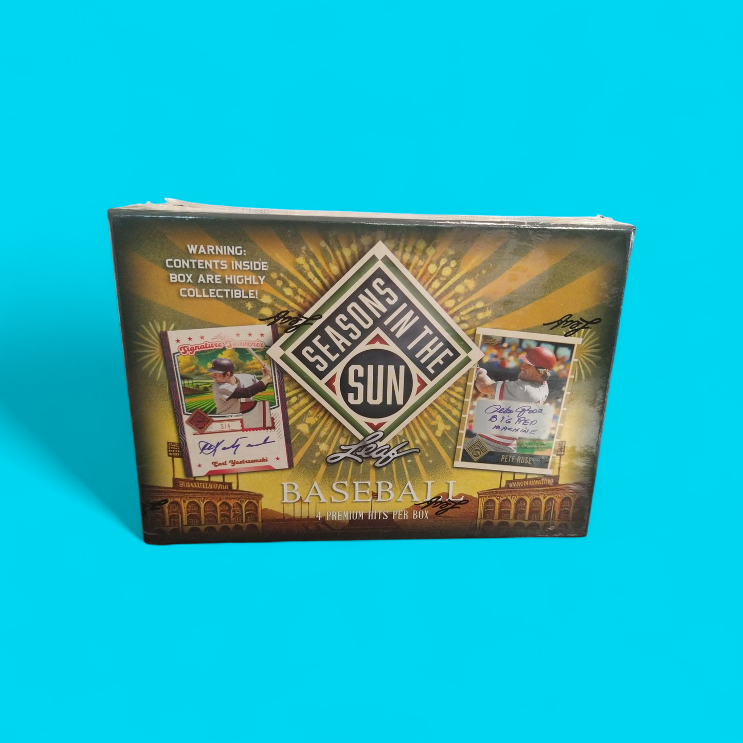 2025 Leaf Seasons of the Sun Baseball Hobby Box