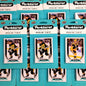 2020-21 Upper Deck Parkhurst Pittsburgh Penguins Team Set
