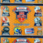 2021 TriStar Hidden Treasures Mini-Helmet Series 2 Box